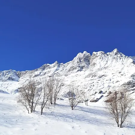 Maison Carrel Elegant 2 Apartamento Breuil-Cervinia